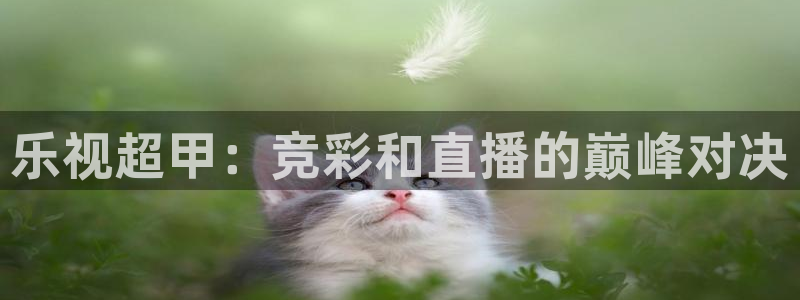 乐视超甲：竞彩和直播的巅峰对决