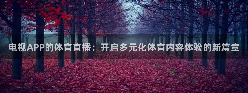 电视APP的体育直播：开启多元化体育内容体验的新篇章