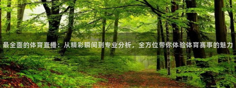 最全面的体育直播：从精彩瞬间到专业分析，全方位带你体验体育赛事的魅力