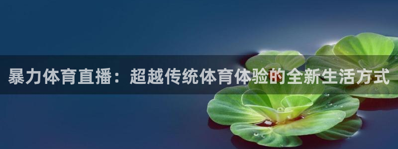 暴力体育直播：超越传统体育体验的全新生活方式