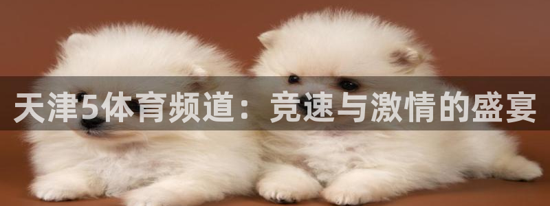天津5体育频道：竞速与激情的盛宴