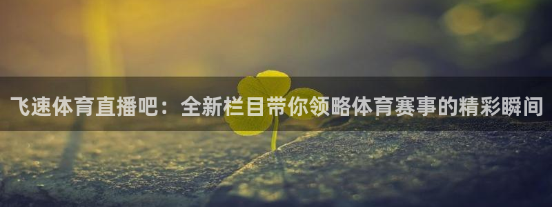 飞速体育直播吧：全新栏目带你领略体育赛事的精彩瞬间