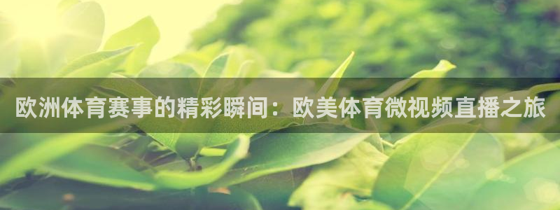 欧洲体育赛事的精彩瞬间：欧美体育微视频直播之旅