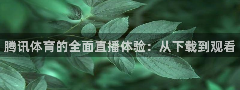 腾讯体育的全面直播体验：从下载到观看
