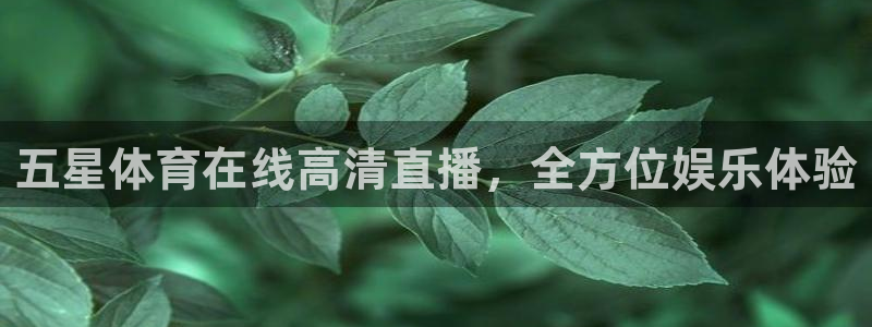 五星体育在线高清直播，全方位娱乐体验