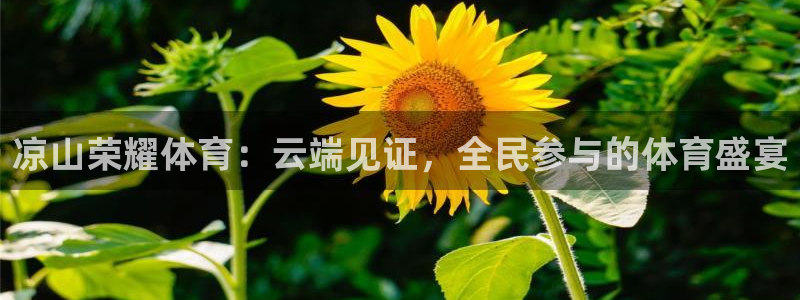 凉山荣耀体育：云端见证，全民参与的体育盛宴